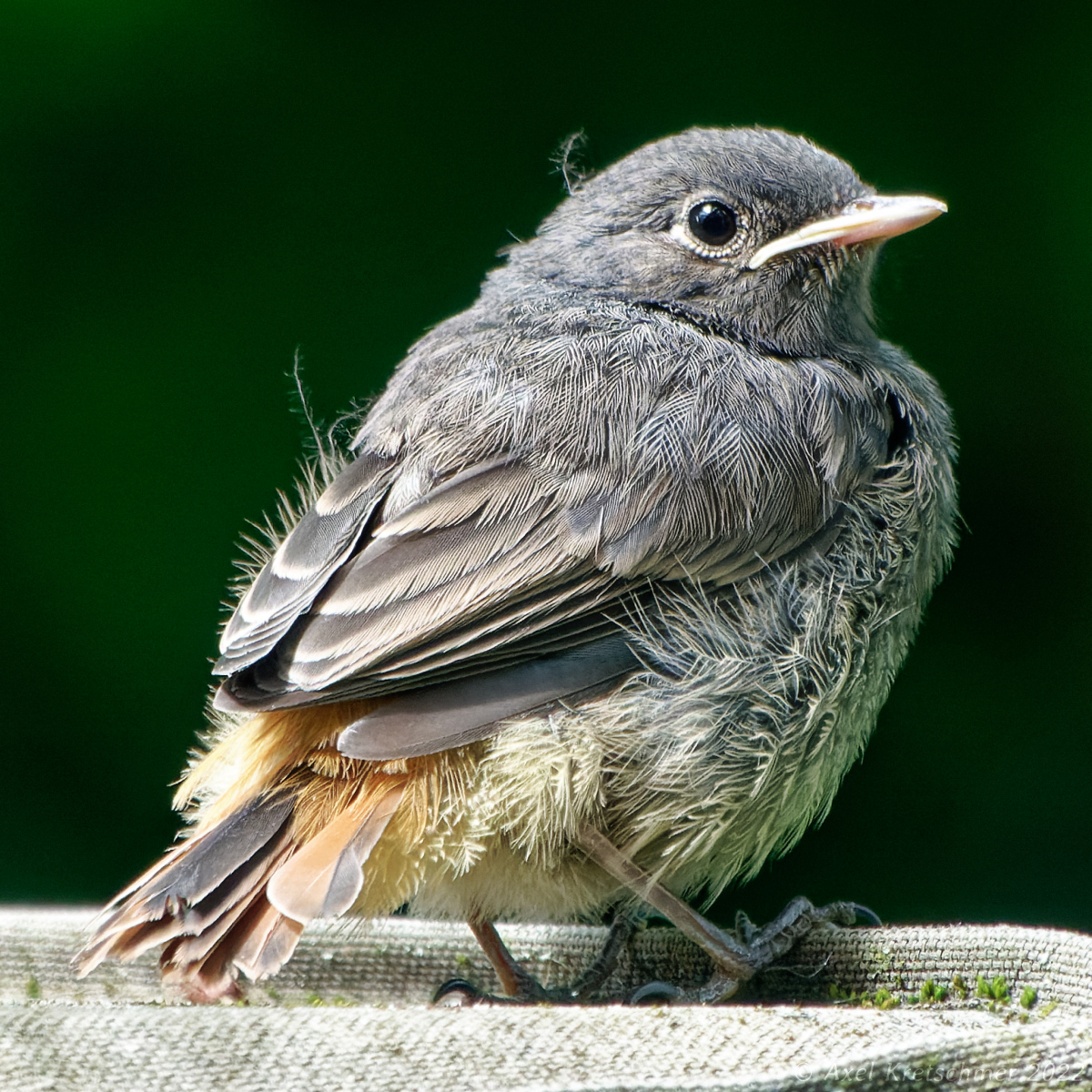 14-54-01_R1008157_DSC-RX10M4_SCRQUER_UHD_16-9_1